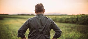 Farmer looking into field