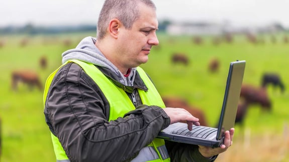Dairy farmer in a field using a computer