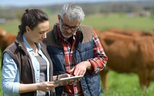 Farmers viewing tablet